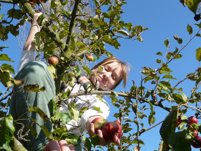 CAL 2008 rijen namorni akademie 25. 29.10. 02